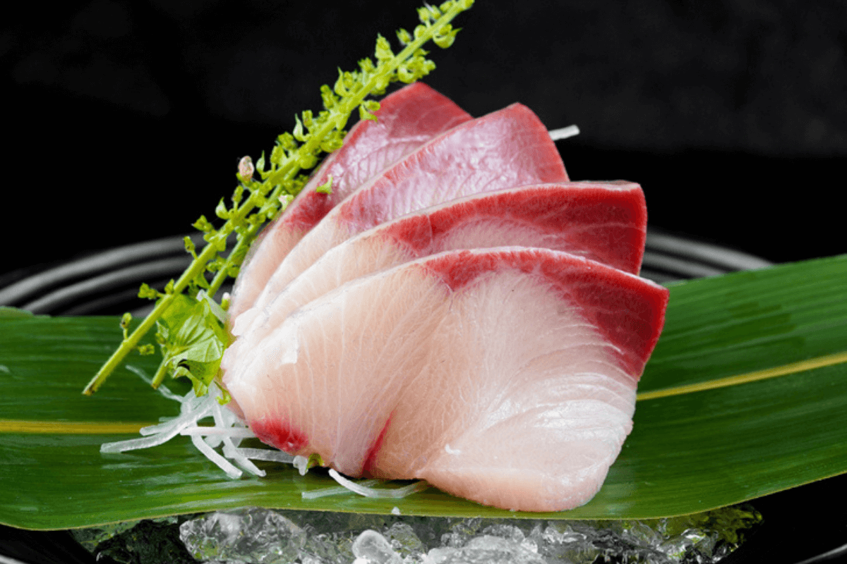 sashimi-hamachi